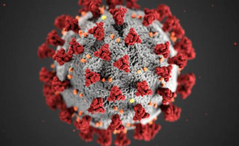 ਪ੍ਰਤੀਨਿਧੀ ਸਭਾ ਦੇ ਮਨਜ਼ੂਰੀ ਤੋਂ ਬਾਅਦ ਕੋਵਿਡ-19 ਫੈਲਣ ਦੇ ਰਾਜ਼ ਤੋਂ ਪਰਦਾ ਚੁੱਕੇਗਾ ਅਮਰੀਕਾ